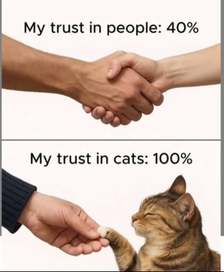 Dudders has my credit card info