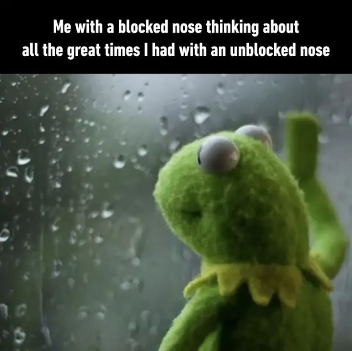 My tea's gone cold I'm wondering why I got out of bed at all