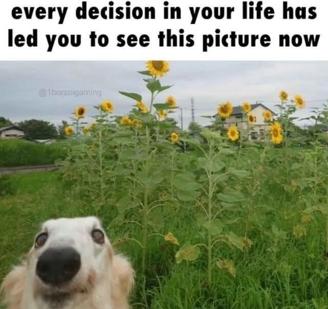 ​​​