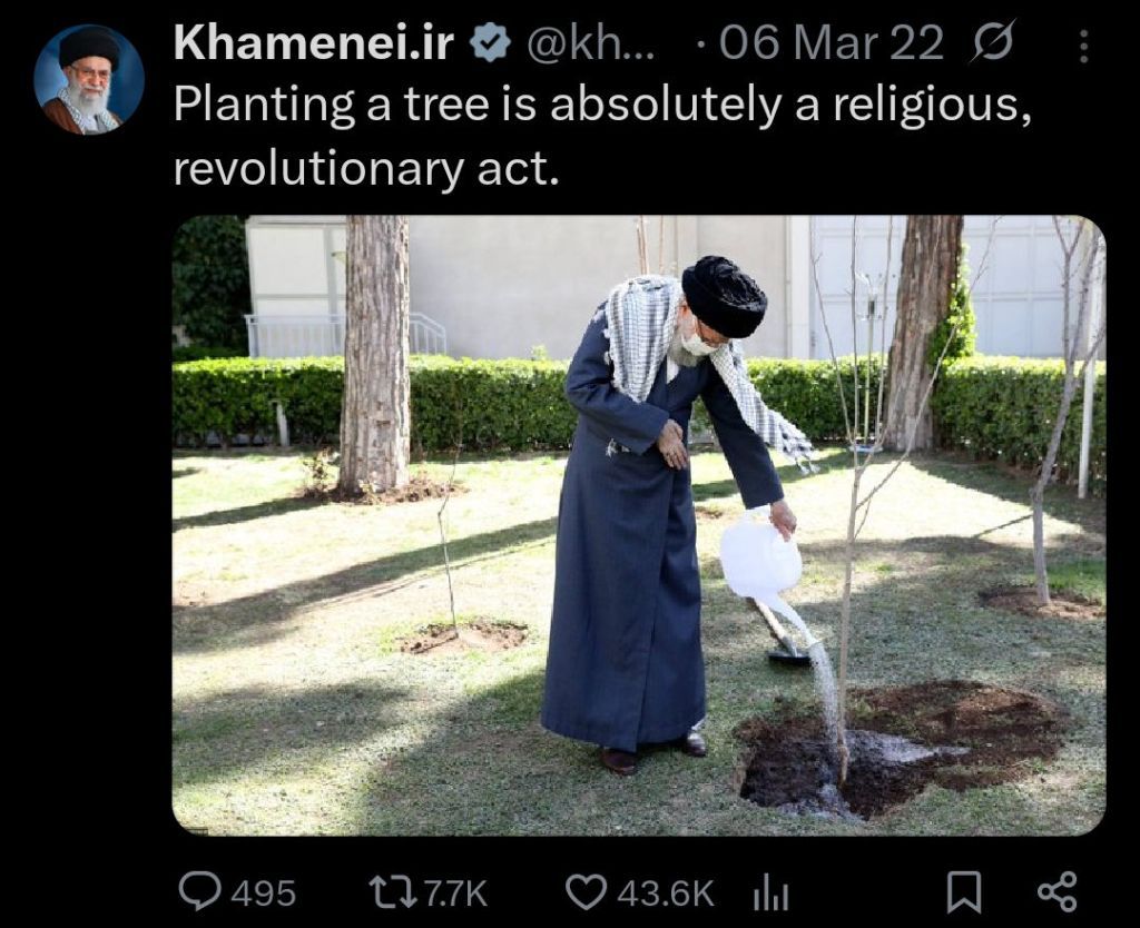 This is who you killed