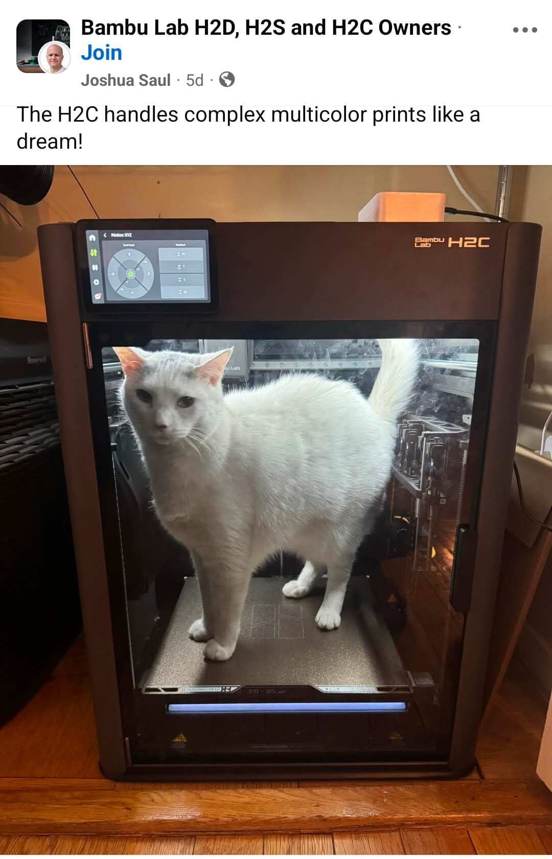 chat (french for cat) is this real