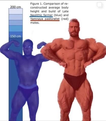 Horsemilk drinking, Chariot Blitzing, Sanskrit bringing, Iron mogging.