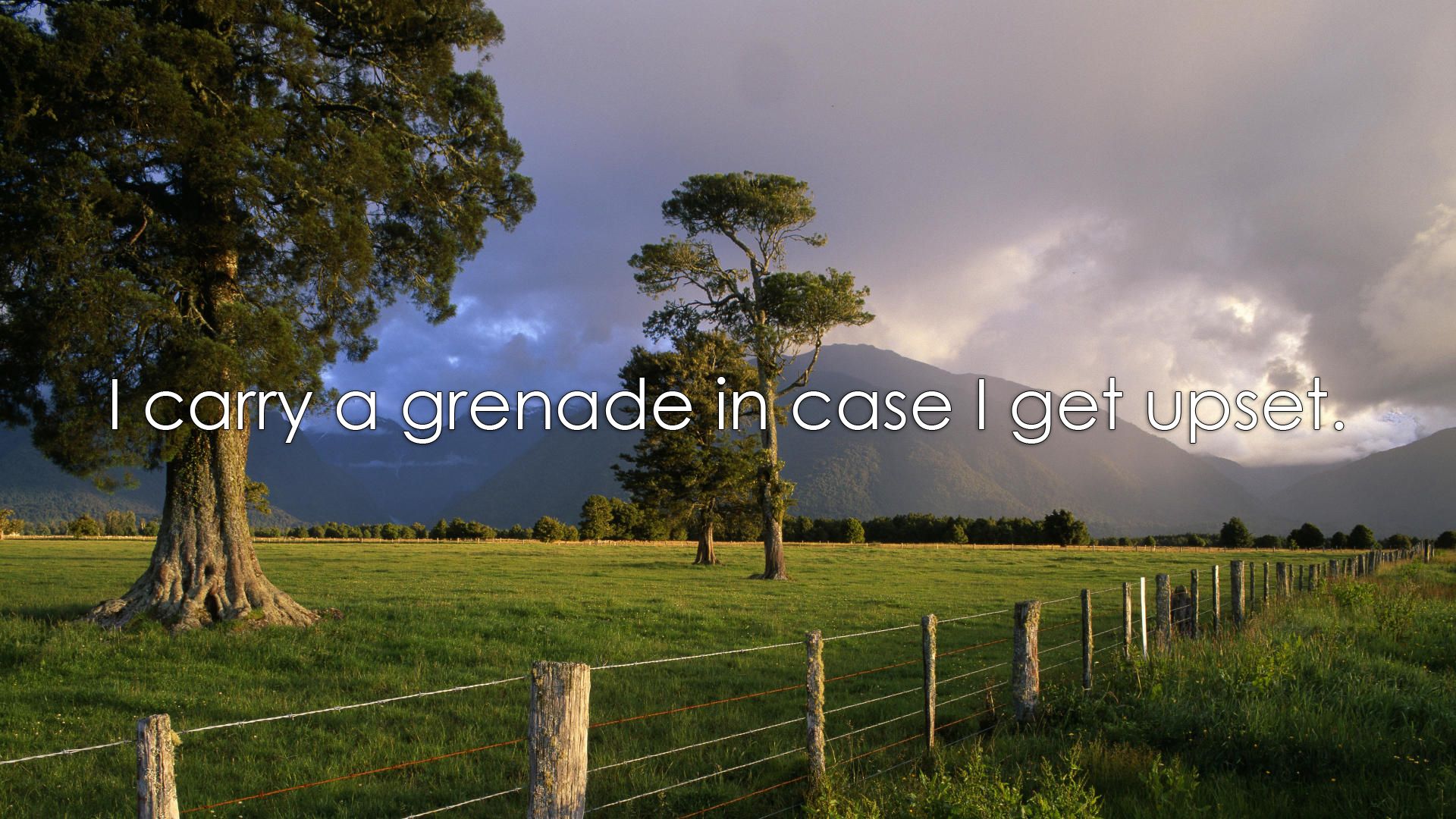 My emotional support grenade