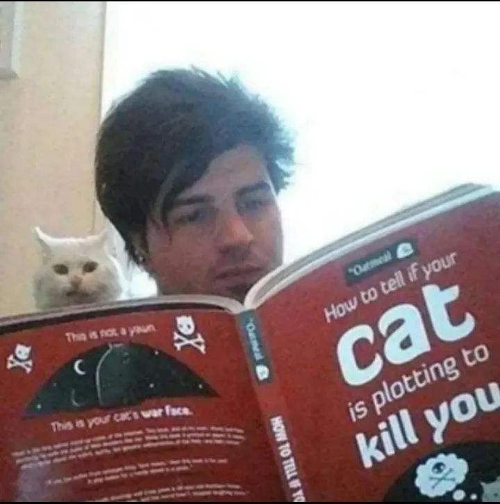 ≽^• ̀ω•́ ^≼