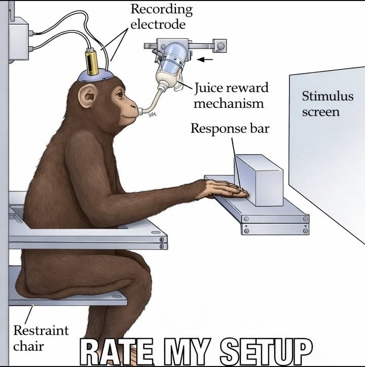 This is where I post from