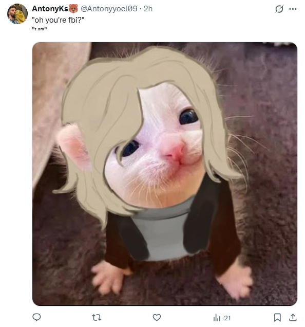 (My waifu works for the FBI)