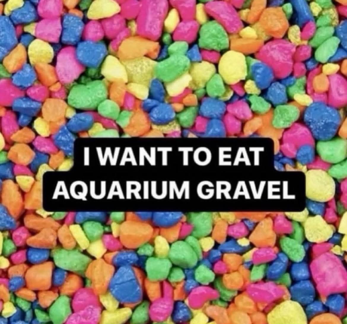 Society doesn't want you to eat the forbidden pebbles