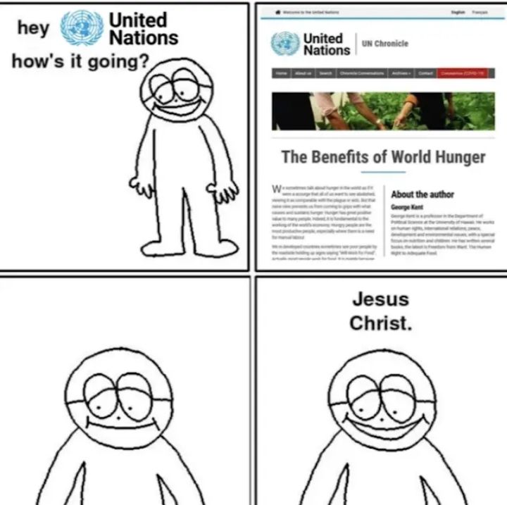 (((united nations)))