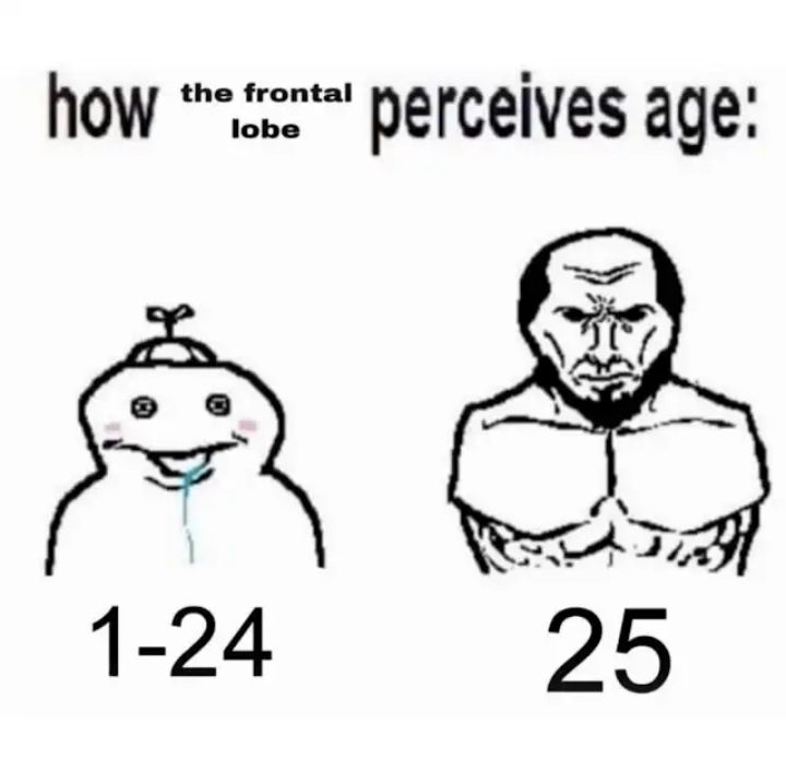 All quiet on the frontal lobe