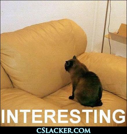 Oh great, a sofa