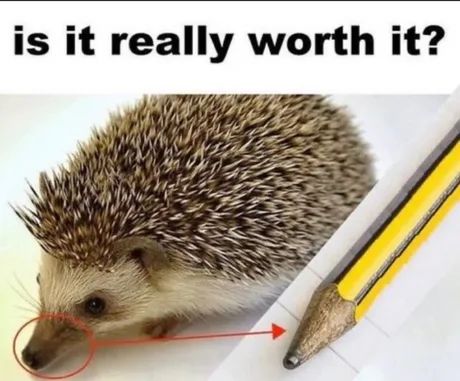 The Russians figured going to space was.