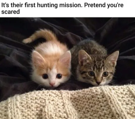 AAAAAAAAAAAAAAAAAAAAAAAAAAAAAAAAAAAAAAAAAAAAAAAAAAAAAAAAAAAAAAAAAAAAAAAAAAAAAAAAAAAAAAAAAAAAAAAAAAAA