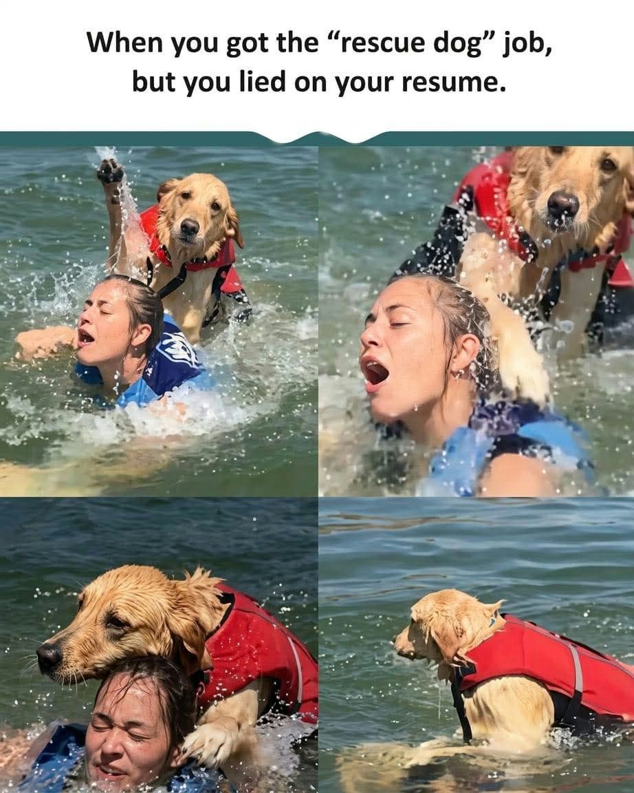 No worries, it was a mercy kill