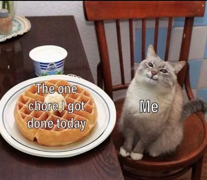 (⁠^⁠.⁠_⁠.⁠^⁠)⁠ﾉ