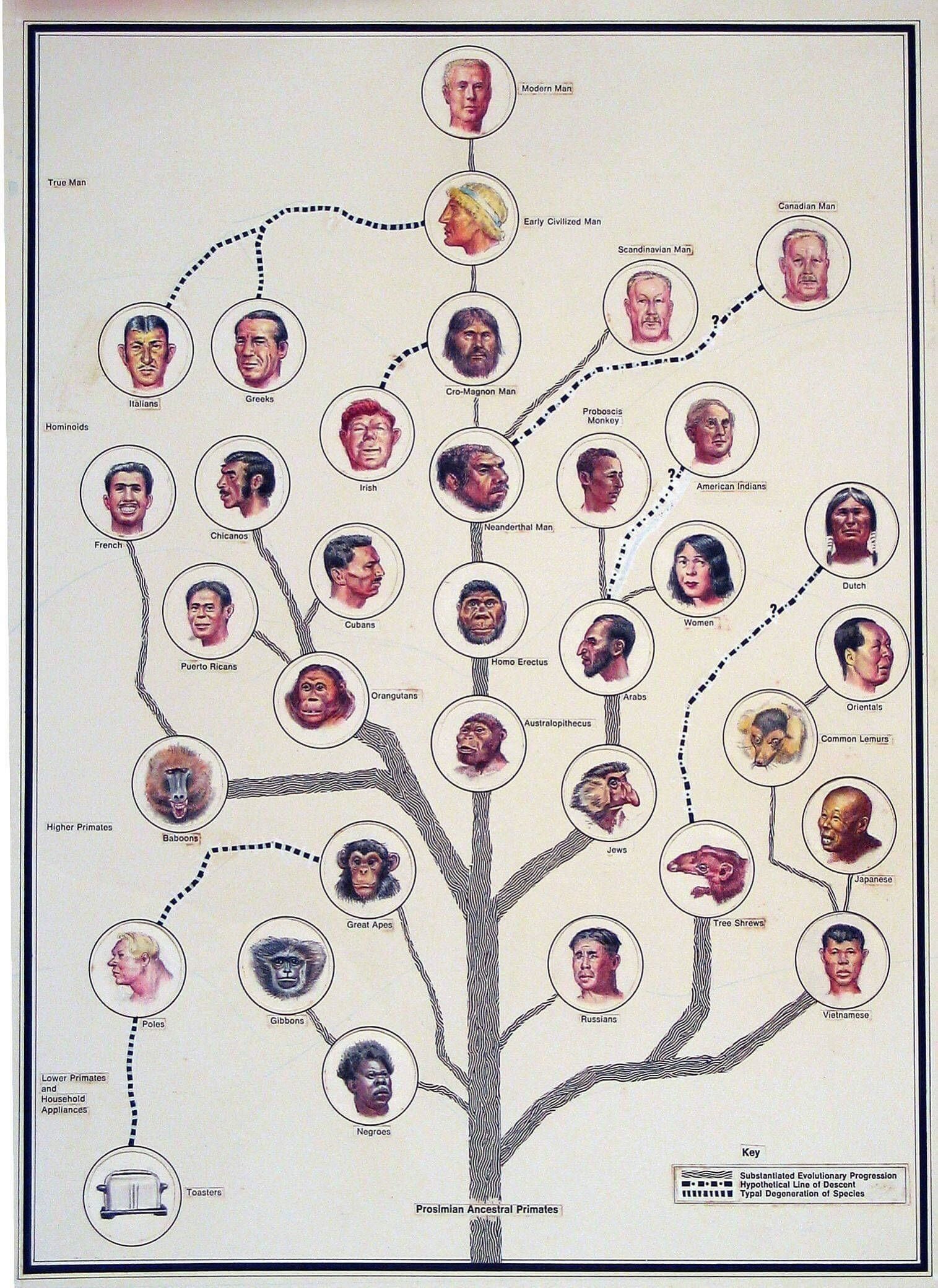 The Tree of Man
