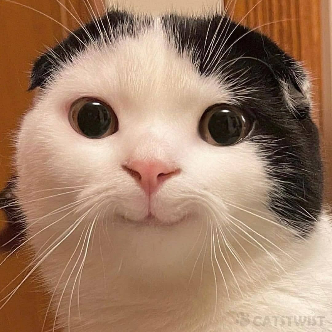 Mfw hl comes back online