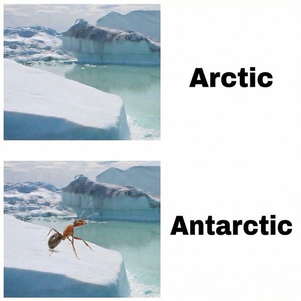 Yes