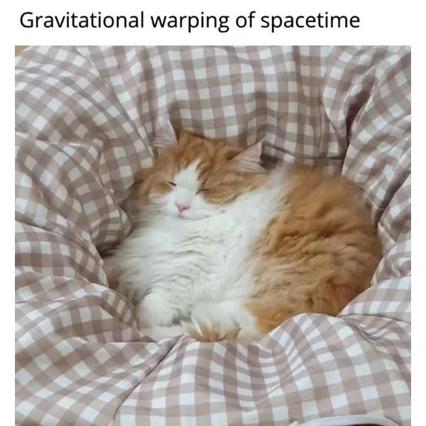 Thank you, kot. Very insightful