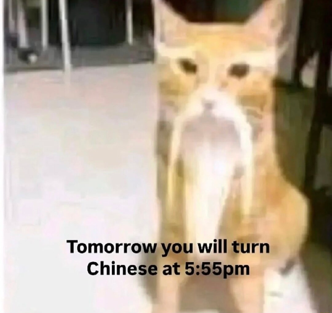 ​​​