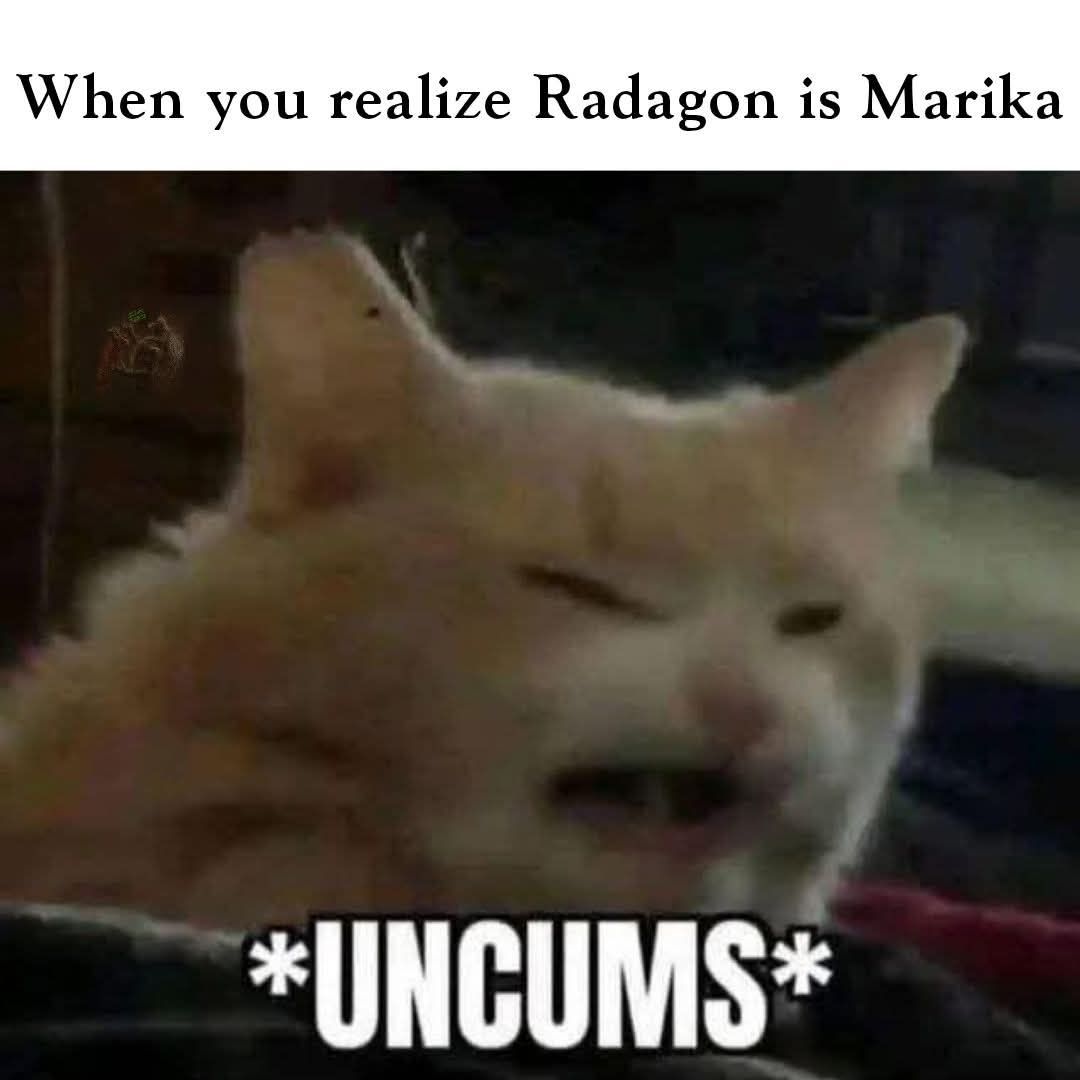 When you've had fun with your favorite succubi demon, then read the lore stating succubi are al male