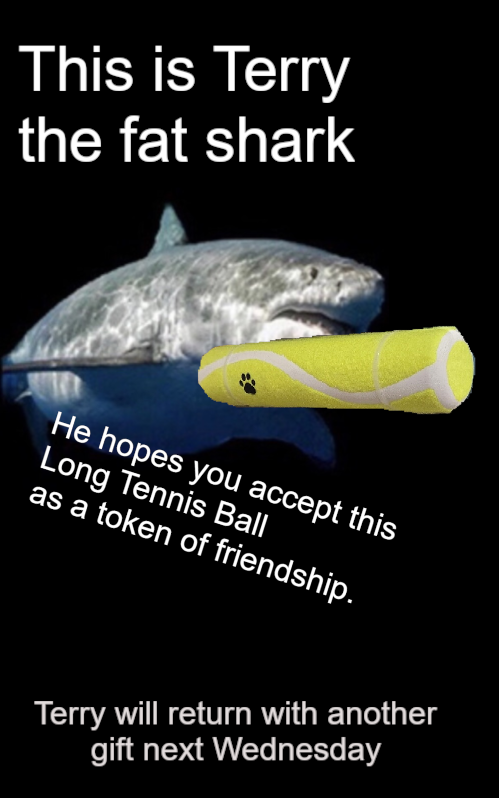 unsigned long long tennis ball