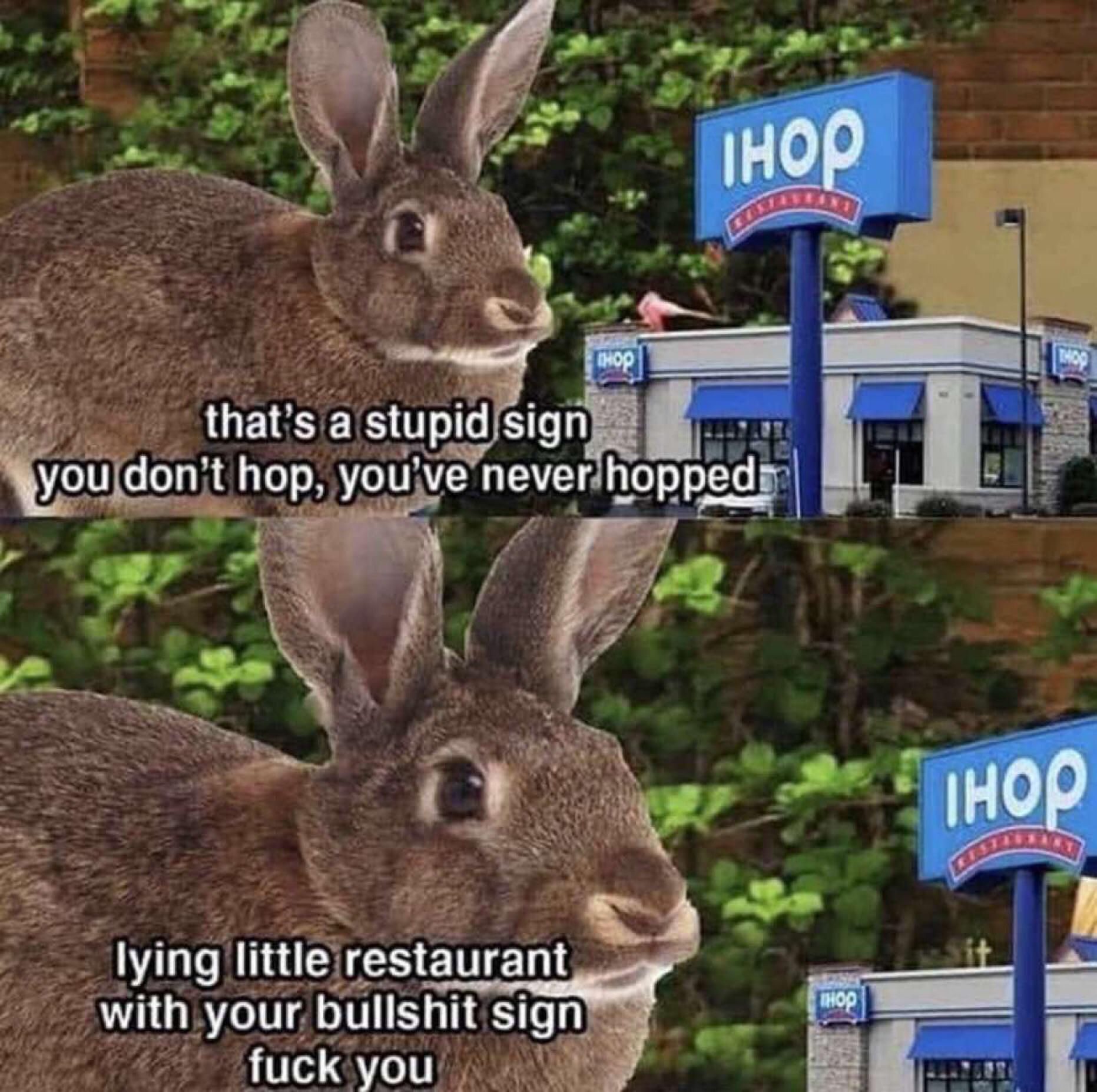 Lying on the interweb is illegal! (•̀⤙•́ )