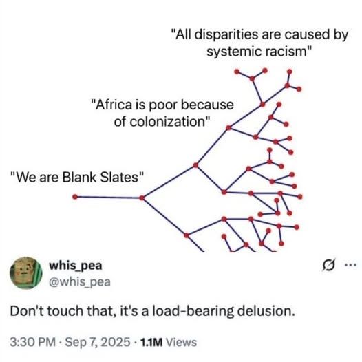 I can't bear with this shit anymore