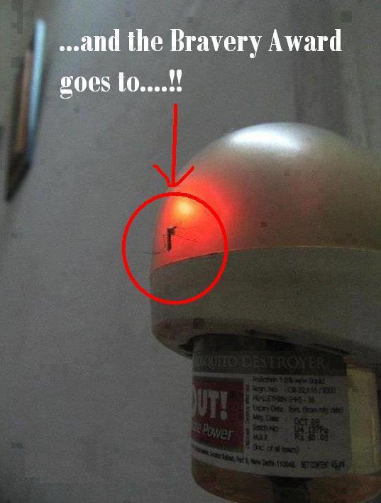 Awesome!!!!