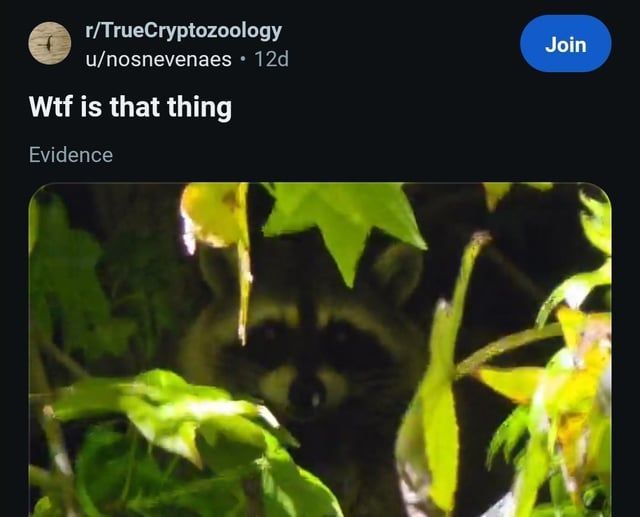 Jumping on the schizo post train