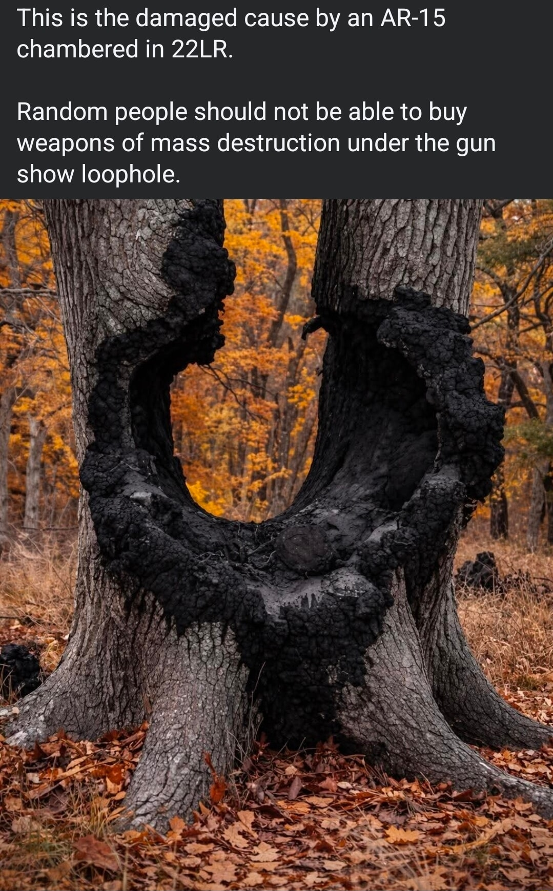 ​​​