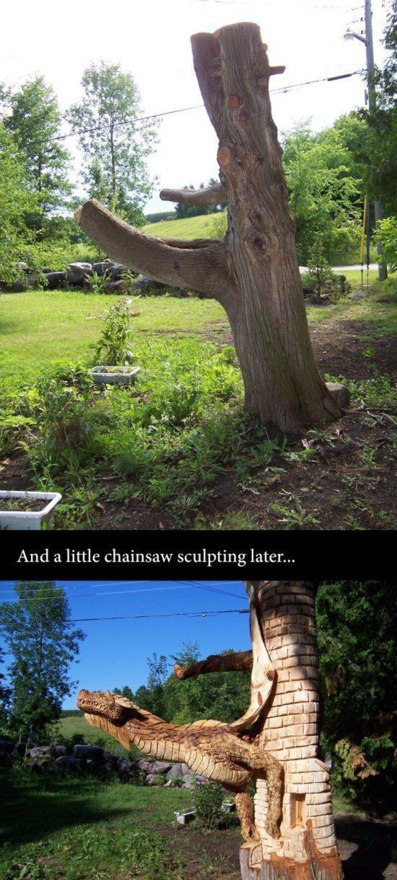 A big branch doesn't need measuring