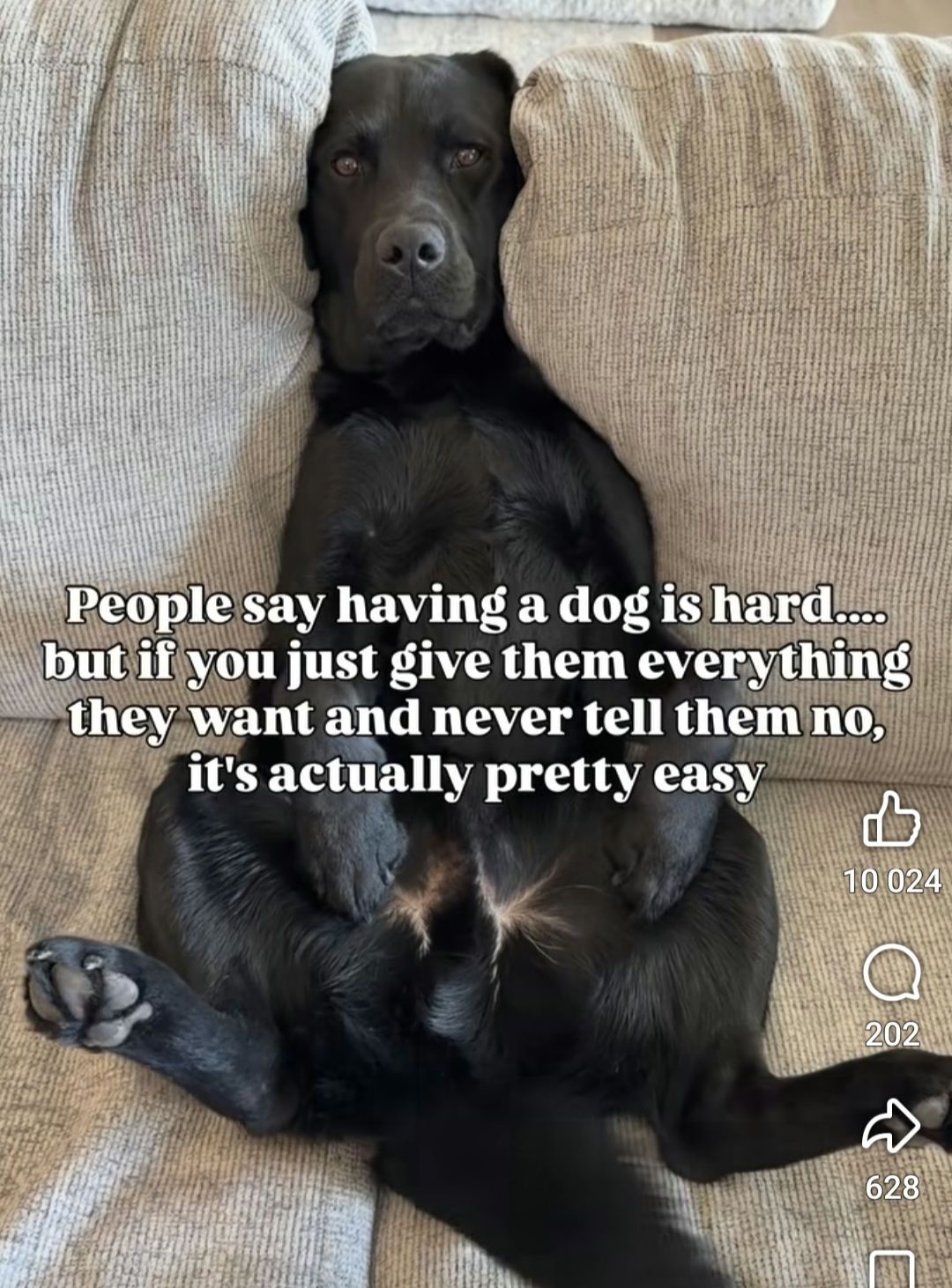 ‎ ‎ ‎
