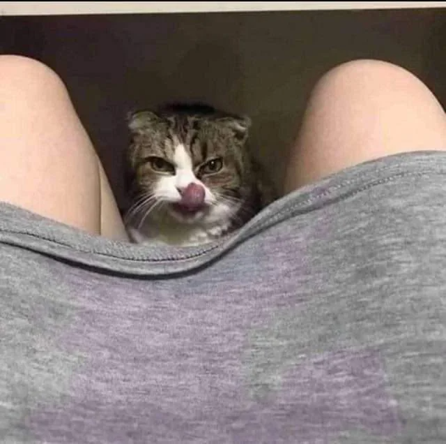 "We have Filet-O-Fish at home"