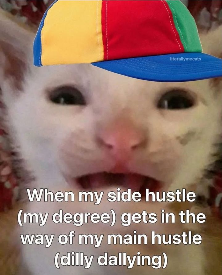 ฅ⁠^⁠•⁠ﻌ⁠•⁠^⁠ฅ