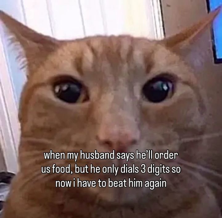 (⁠^⁠.⁠_⁠.⁠^⁠)⁠ﾉ