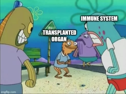 ​​​