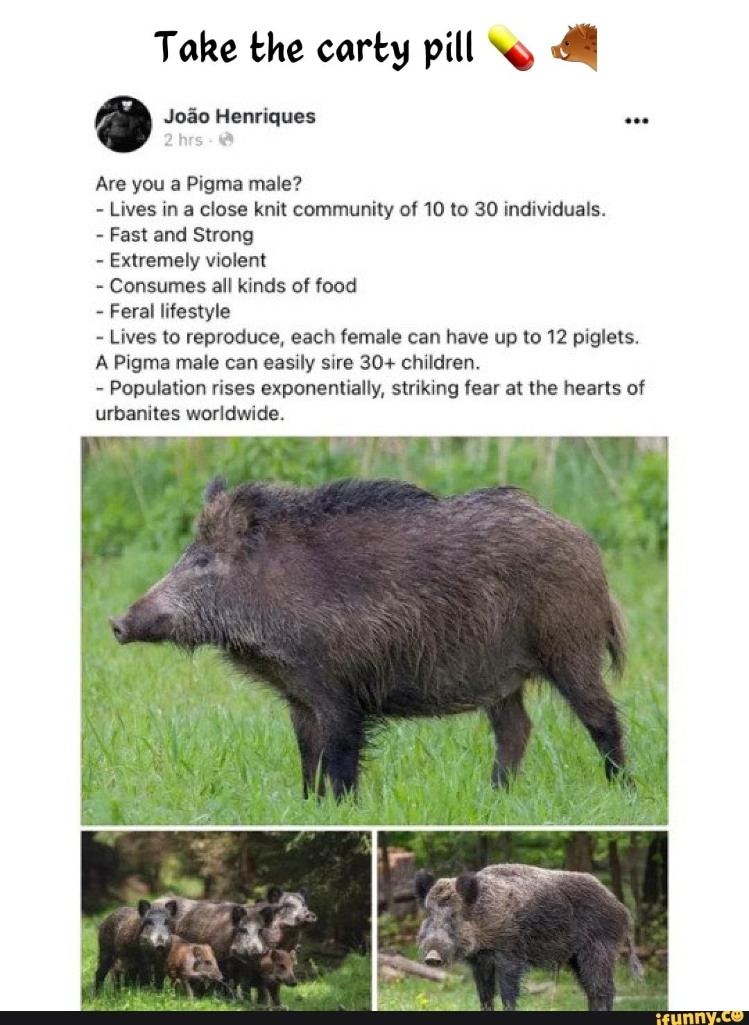 re, but whatever. eat it, you filthy pigmas, or you're not real pigmas.