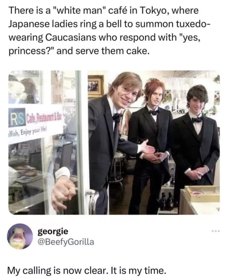 but this guy is a duck