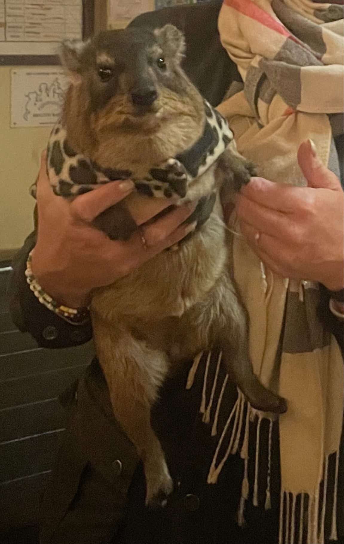 Nihlus do be cute sometimes