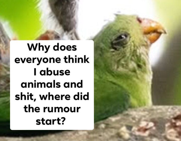 Saw on da discord, many mentions of it, and I never even made jokes about it, so where did it come f