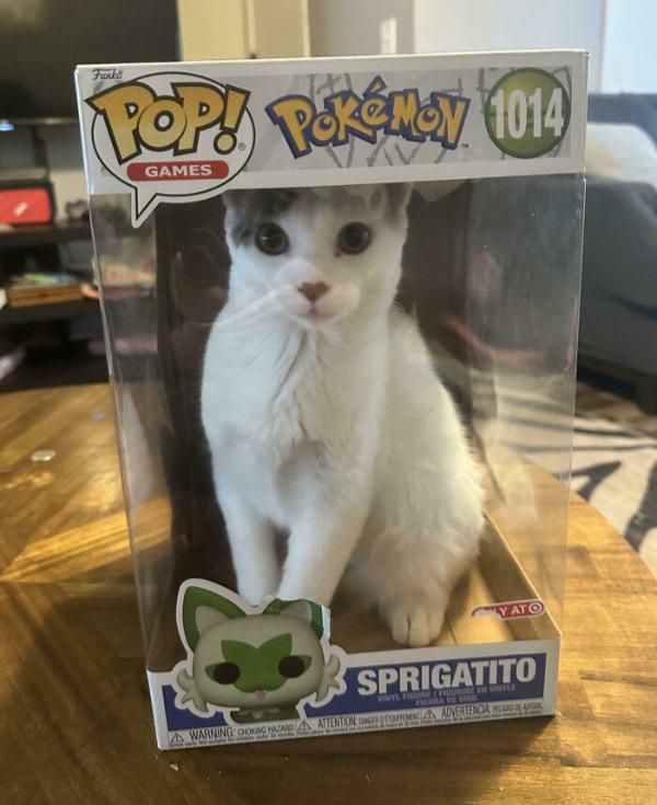 Something is wrong with this Funkopop™