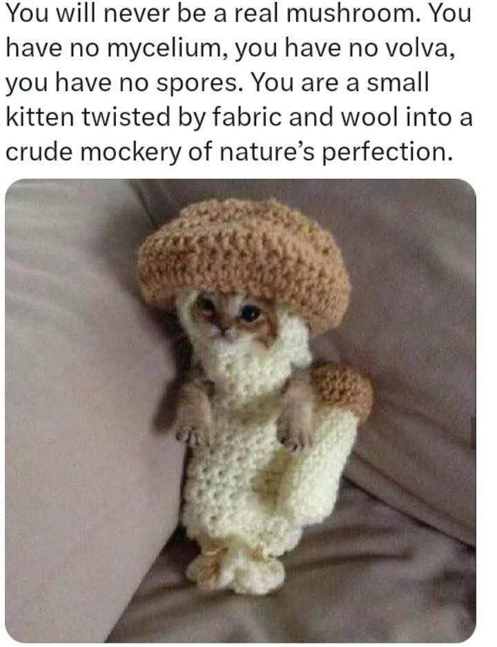 >fake mycels(ia) are at it again, smh