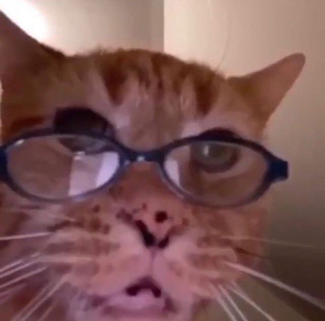 How Snudders looks at my fire memes