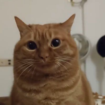 Me.