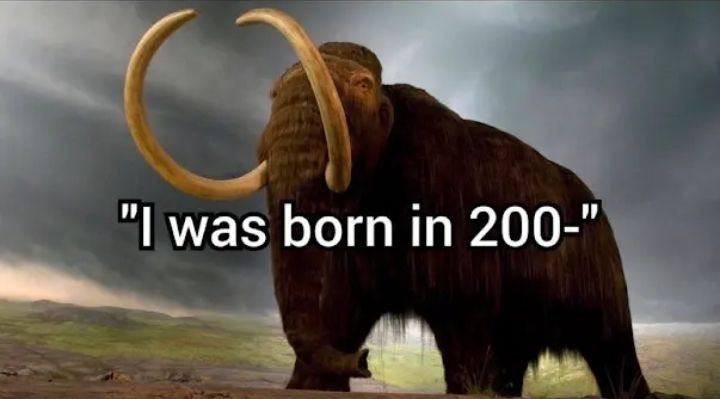 I am old, Gandalf