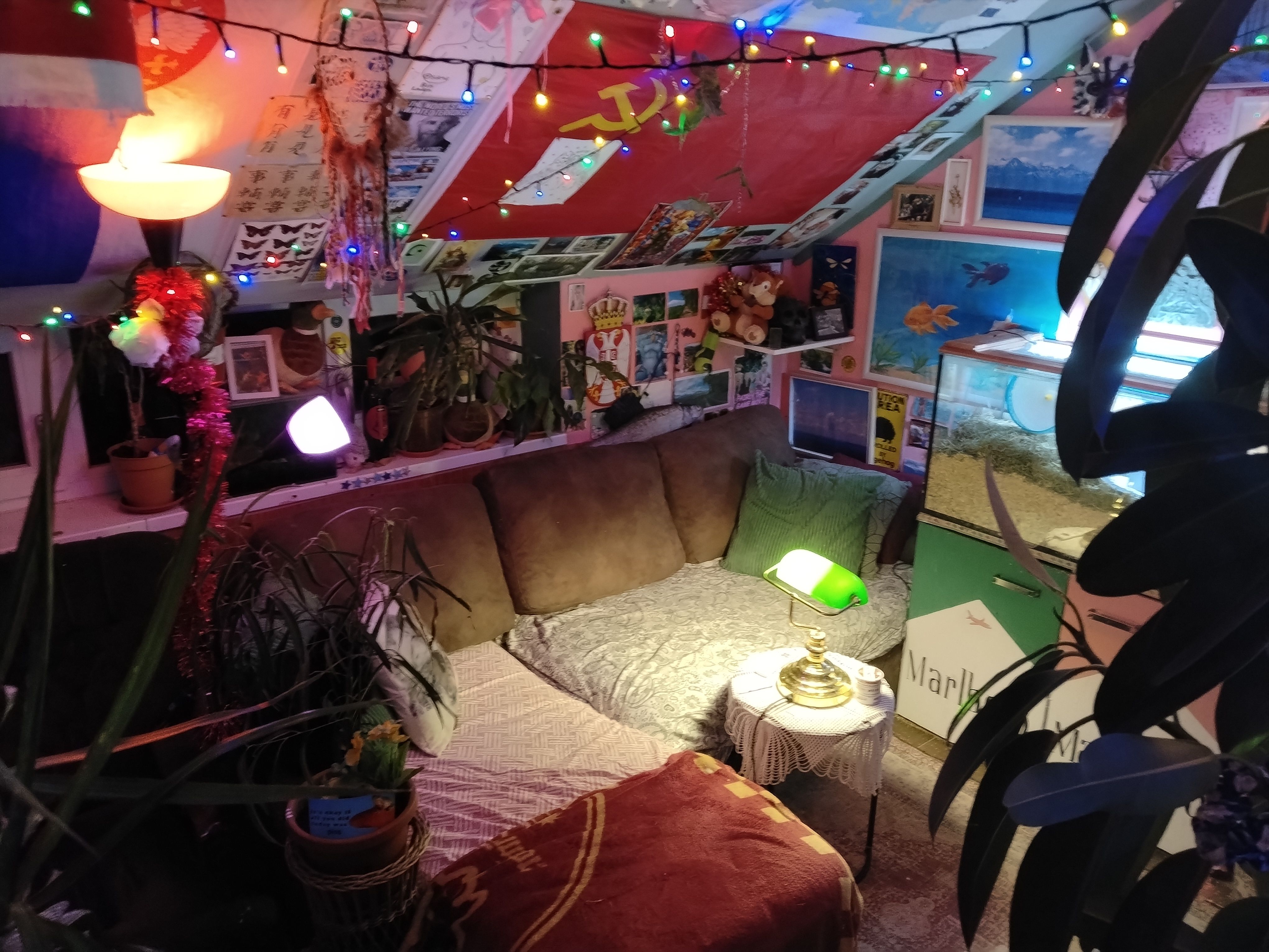 What do you guys think of my living room