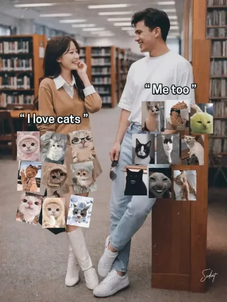 ​​​
