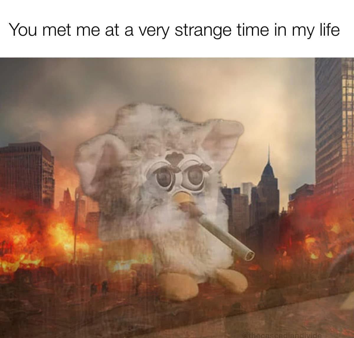 Dying Slowly Form Kidney Failure Watching the World Burn