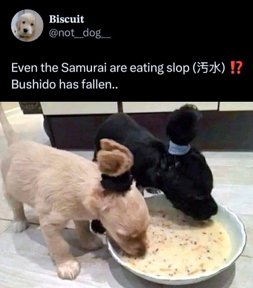 ​​​​