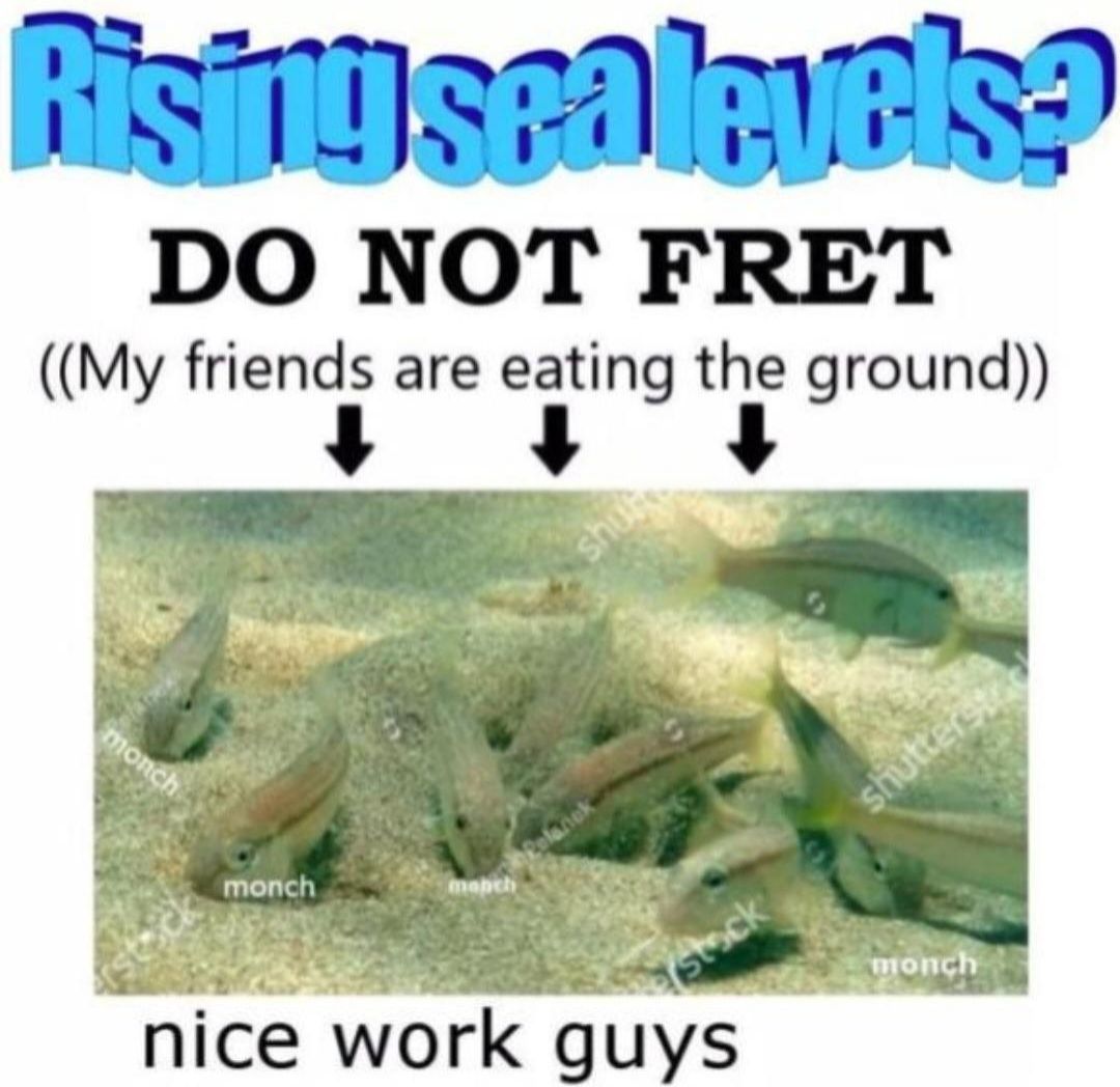 ‎ ‎